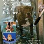 Practical Physiotherapy for Small Animal Practice PDF