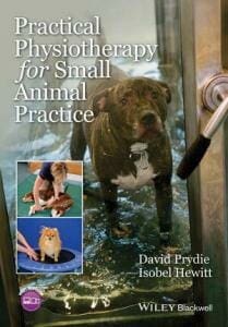 Practical Physiotherapy For Small Animal Practice Pdf