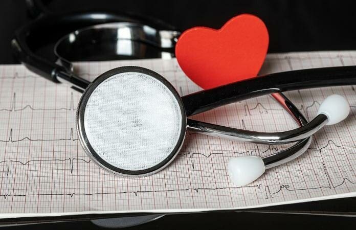 9 Best Stethoscopes for Veterinarians & Vet Techs In 2025