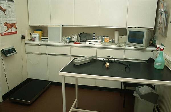 Exam and procedure tables For Vet Clinic