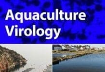 Aquaculture Virology PDF By Frederick S. B. Kibenge and Marcos Godoy
