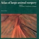 Atlas of Large Animal Surgery PDF By A. W. Kersjes and I. Nemeth