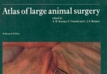 Atlas of Large Animal Surgery PDF By A. W. Kersjes and I. Nemeth