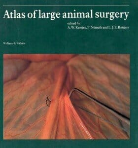 Atlas of Large Animal Surgery PDF By A. W. Kersjes and I. Nemeth