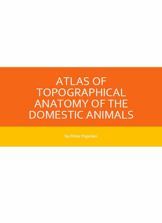 Atlas Of Topographical Anatomy Of The Domestic Animals Pdf Vet Ebooks