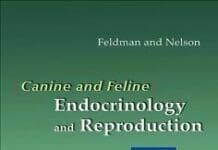 Canine and Feline Endocrinology and Reproduction 3rd Edition PDF
