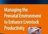 Managing the Prenatal Environment to Enhance Livestock Productivity PDF