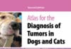 Atlas for the Diagnosis of Tumors in the Dog and Cat PDF Download