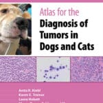 Atlas for the Diagnosis of Tumors in Dogs and Cats, 2nd Edition Atlas for the Diagnosis of Tumors in the Dog and Cat PDF Download