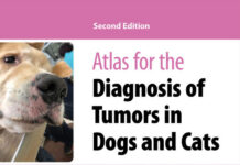 Atlas for the Diagnosis of Tumors in Dogs and Cats, 2nd Edition Atlas for the Diagnosis of Tumors in the Dog and Cat PDF Download