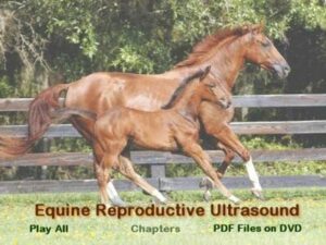 Equine Reproductive Ultrasonography Dvd