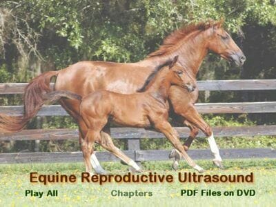Equine Reproductive Ultrasonography DVD