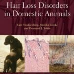 hair-loss-disorders-in-domestic-animals