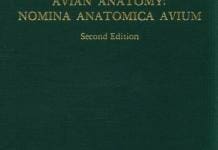 Handbook of Avian Anatomy, Nomina Anatomica Avium, 2nd Edition pdf