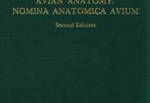 Handbook of Avian Anatomy, Nomina Anatomica Avium, 2nd Edition pdf