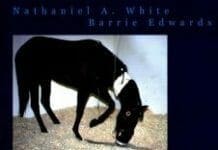 Handbook of Equine Colic PDF