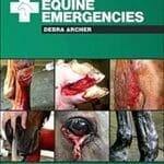 handbook-of-equine-emergencies