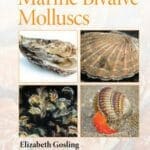 Marine Bivalve Molluscs 2nd Edition PDF
