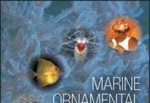 Marine Ornamental Species Aquaculture
