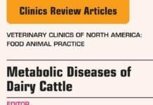 Metabolic Diseases of Dairy Cattle: Veterinary Clinics of North America, Food Animal Practice By Thomas H. Herdt