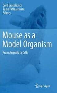 Mouse as a Model Organism pdf