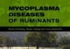 Mycoplasma Diseases of Ruminants PDF