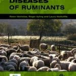 Mycoplasma Diseases of Ruminants PDF