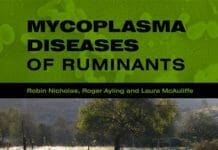 Mycoplasma Diseases of Ruminants PDF