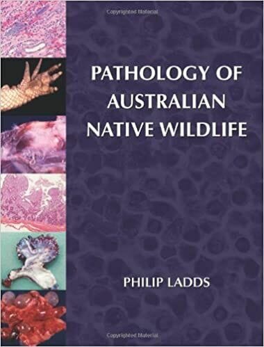 Pathology of Australian Native Wildlife