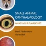 Small Animal Ophthalmology What’s Your Diagnosis PDF