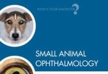 Small Animal Ophthalmology What’s Your Diagnosis PDF