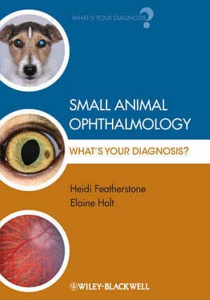 Small Animal Ophthalmology What’s Your Diagnosis PDF | Vet eBooks
