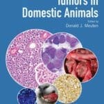 tumors-in-domestic-animals-5th-edition