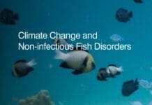 Climate Change and Non-infectious Fish Disorders
