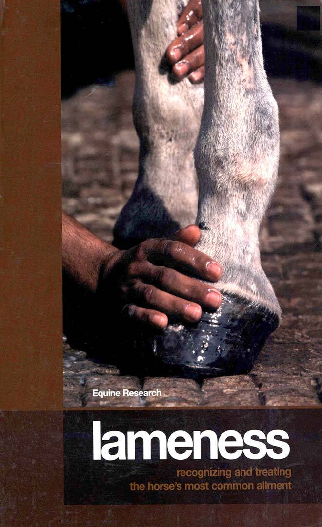 Lameness Recognizing And Treating The Horses Most Common Ailment