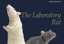 The Laboratory Rat 3rd Edition PDF