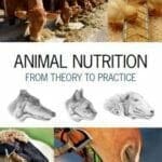 animal-nutrition-from-theory-to-practice