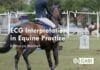 ECG Interpretation in Equine Practice PDF