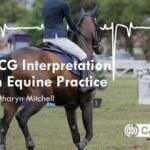 ECG Interpretation in Equine Practice PDF