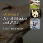 olfaction-in-animal-behaviour-and-welfare
