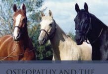 Osteopathy and the Treatment of Horses PDF