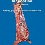 Ovine Meat Inspection: Anatomy, Physiology and Disease Conditions 2nd Edition PDF