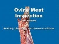 Ovine Meat Inspection: Anatomy, Physiology and Disease Conditions 2nd Edition PDF