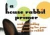 A House Rabbit Primer: Understanding and Caring for Your Companion Rabbit PDF By Lucile C. Moore