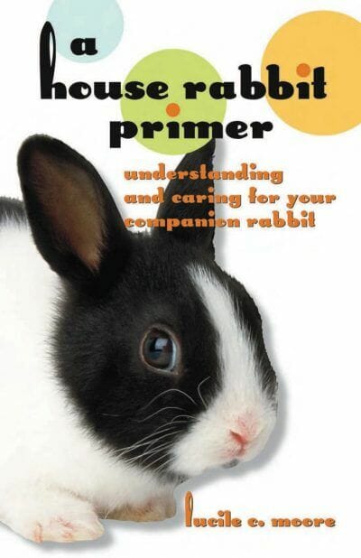 A House Rabbit Primer, Understanding and Caring for Your Companion Rabbit