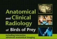 Anatomical and Clinical Radiology of Birds of Prey PDF