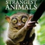 Atlas of the World’s Strangest Animals PDF By Paula Hammond