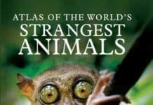 Atlas of the World’s Strangest Animals PDF By Paula Hammond