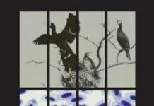Avian Malaria Parasites and other Haemosporidia By Gediminas Valkiunas