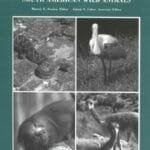 Biology, Medicine, and Surgery of South American Wild Animals PDF
